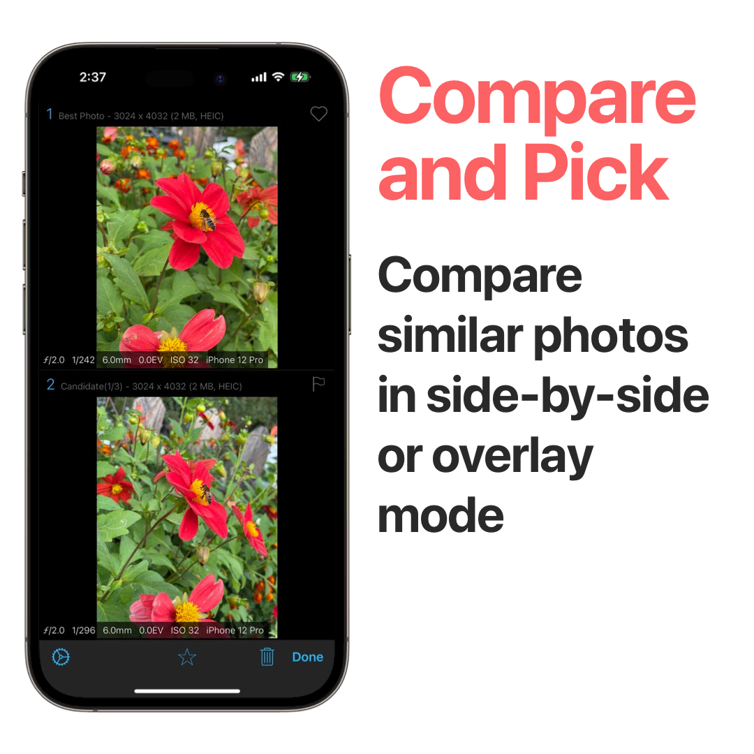 Compare and Pick - Compare similar photos in side-by-side or overlay mode
